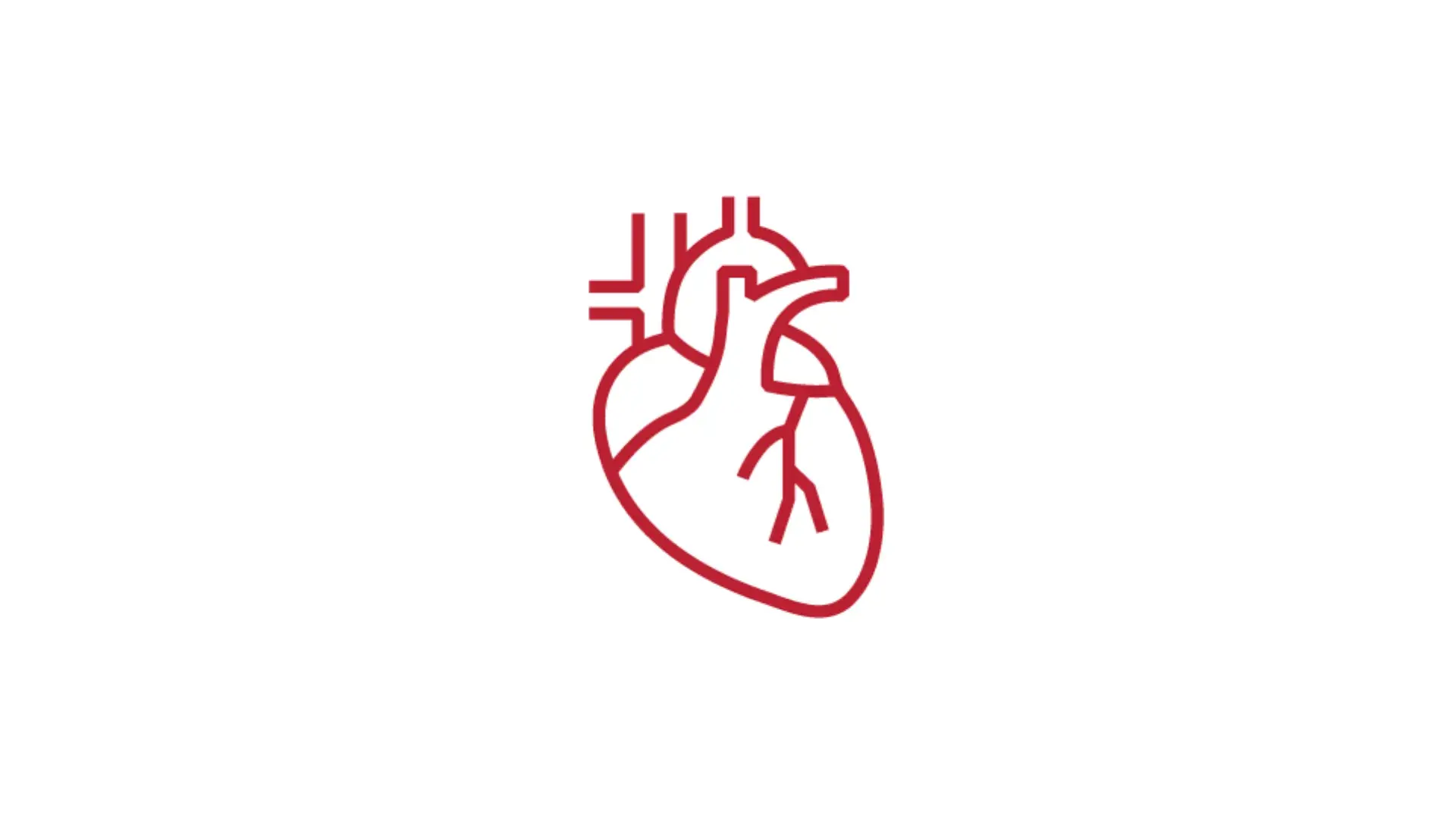 EdTech Incubator Anatomy Visualization Zone icon