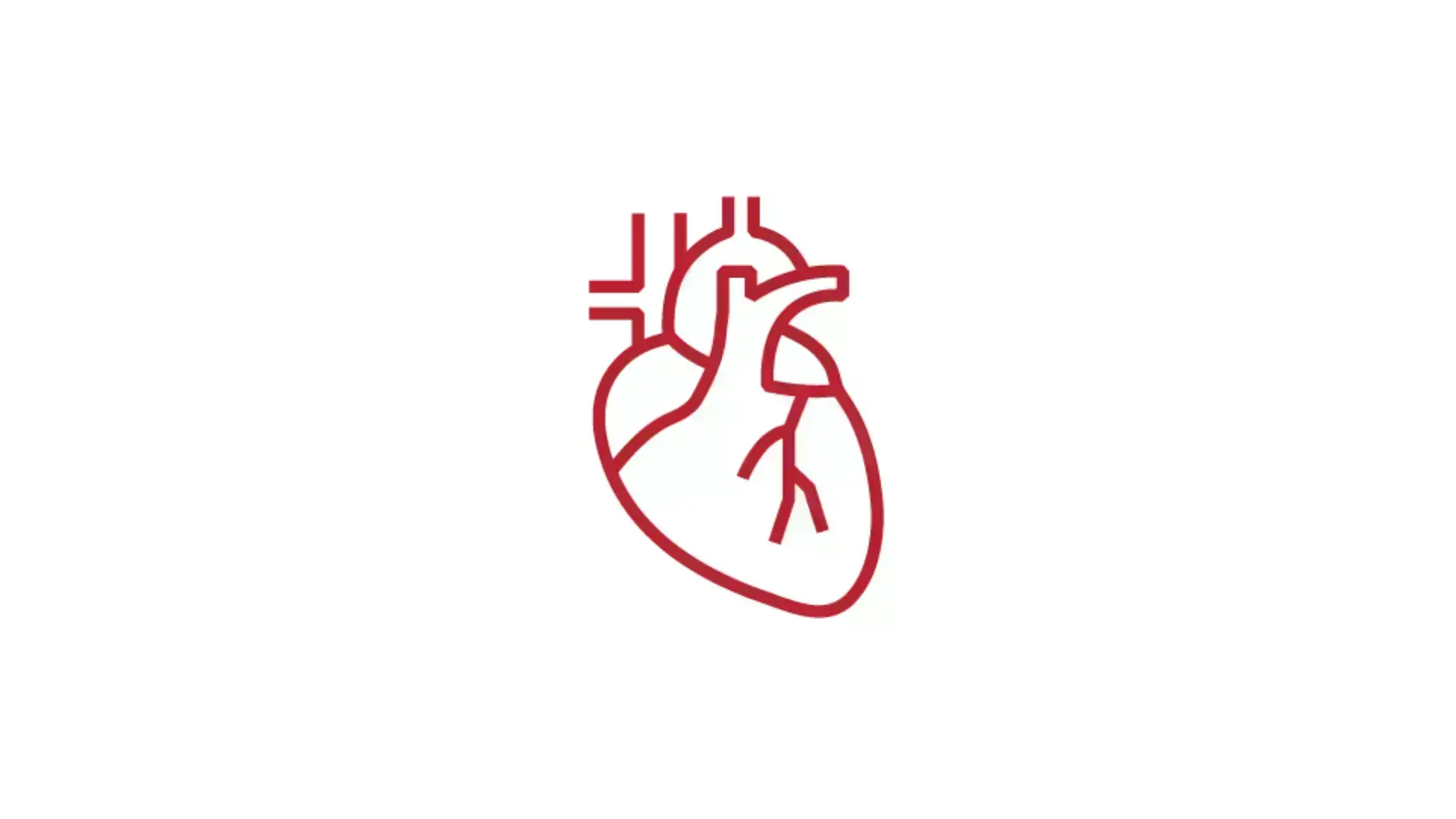 EdTech Incubator Anatomy Visualization Zone icon